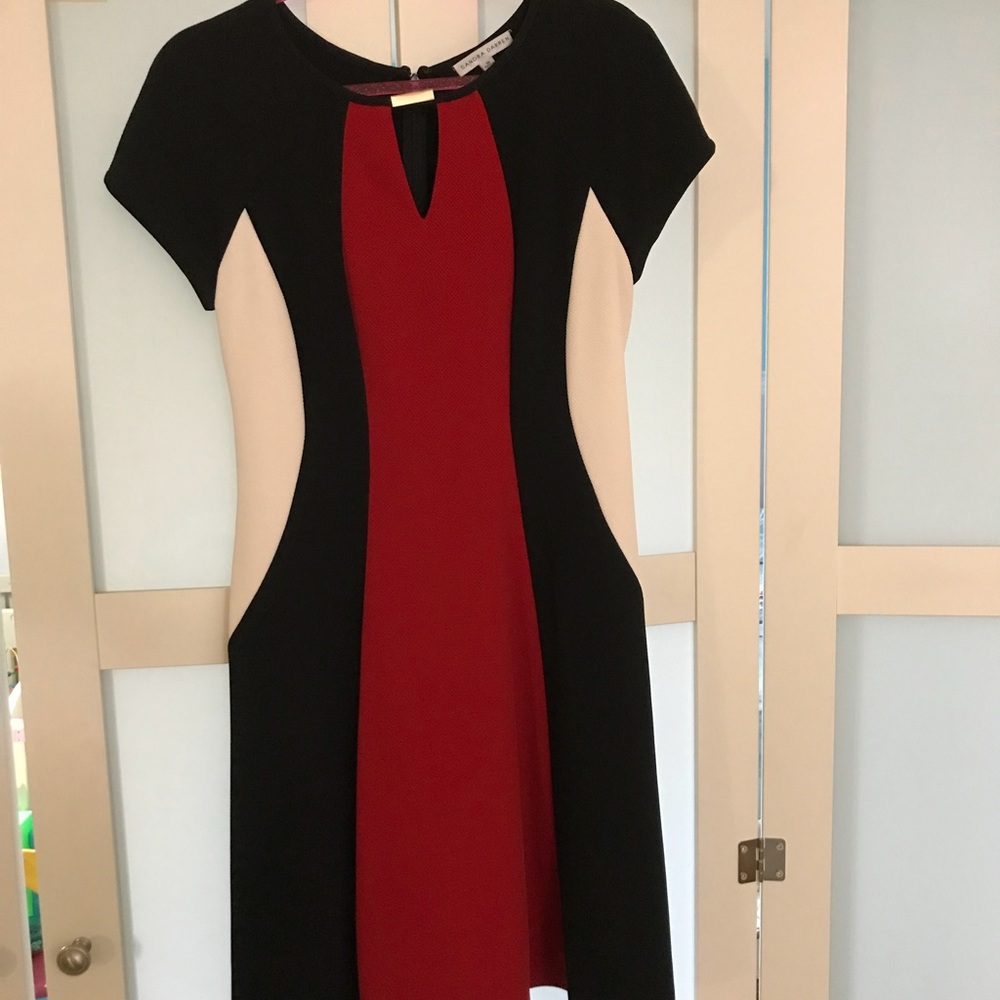 Sandra Darren Dress